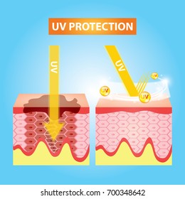 UV protection skin vector