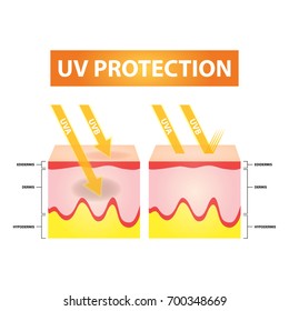 UV protection skin vector