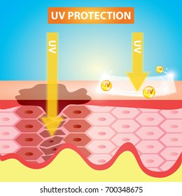 UV protection skin vector