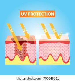 UV Protection Skin Vector