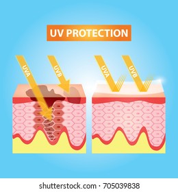 UV protection skin vector