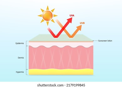 UV Protection. Sunscreen lotion protects against UVA and UVB rays from damaging the skin layer.