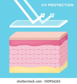 uv protection vector , skin