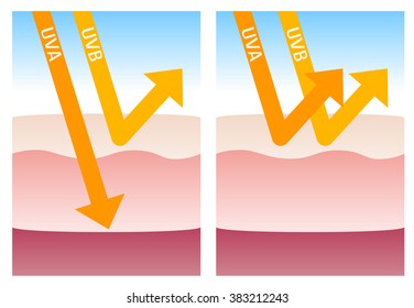 uv protection vector , ultraviolet 