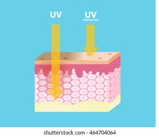 uv protection vector , ultraviolet comparison