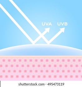 uv protection vector , ultraviolet comparison