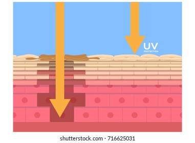 uv protection vector , ultraviolet comparison