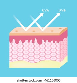 uv protection vector , ultraviolet reflect by skin