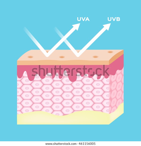 Uv Protection Vector Ultraviolet Reflect By Stock Vector (Royalty Free ...