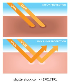 uv and ray protection , skin vector the bottom has ultravioletv reflection and it looks brighter