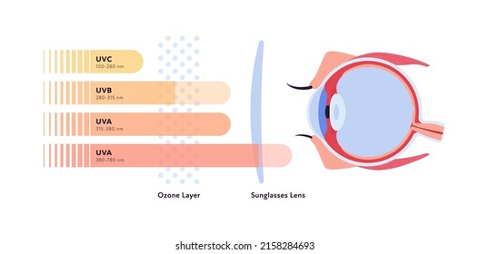 Uv rays and visible light healthcare infographic. Vector flat illustration. UVA, UVB, UVC lights go and reflect by ozone layer and sun block lens to eye ball. Design for uv awareness month.