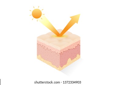 UV reflection from skin after protection. Illustration about Skin care concept. 