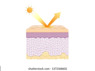 UV reflection from skin after protection. Illustration about Skin care concept. 