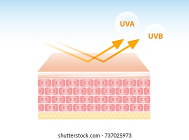 UV reflection skin after protection vector design.
