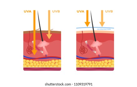 uv skin and ultraviolet icon logo vector