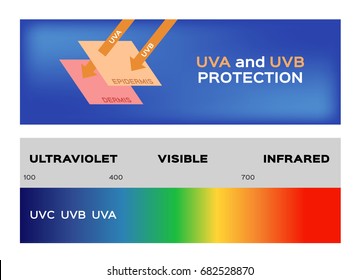 uv and ultraviolet banner vector