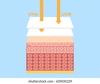 uv , ultraviolet protection vector 