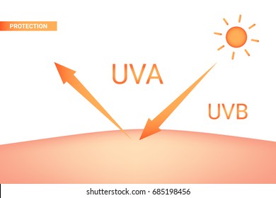 uva and uvb protection. vector illustration