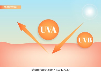 uva and uvb protection. vector illustration