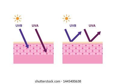 UVA and UVB radiation types, sun protection vector illustration