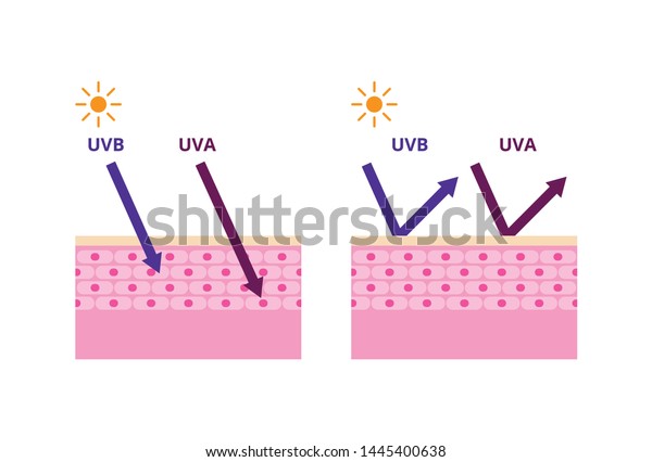 Uva Uvb Radiation Types Sun Protection Stock Vector (Royalty Free ...