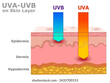 Los rayos UVA, UVB en humanos en la capa de piel, riesgo de cáncer. La radiación ultravioleta influyó, daño. Rayos infrarrojos Uv a, b. Dermis, epidermis, hipodermis. Mediciones de la luz solar. Vector de ilustración