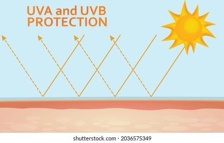 Protección cutánea UVA y UVB. vector