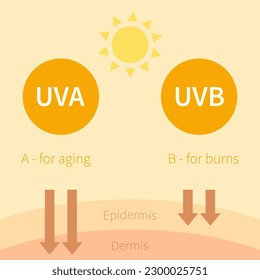 UVA and UVB sun rays. Ultraviolet rays flat simple inforgaphics. Vector