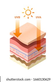 uvb uva rays from sun penetrate into epidermis of skin cross-section of human skin layers structure skincare medical concept flat vector illustration