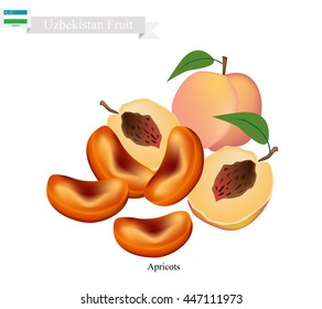 Uzbekistan Fruit, Dried Apricot. One of The Most Popular Fruits of Uzbekistan.