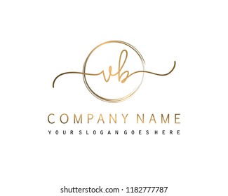 V B Initial handwriting logo vector
