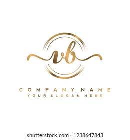 V B Initial handwriting logo vector
