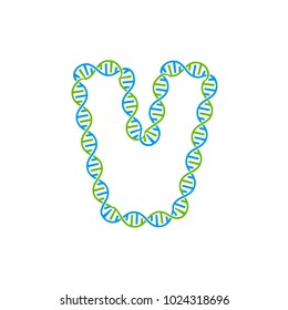V Dna Letter Logo Icon Design
