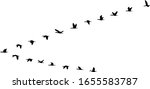 V formation of birds - vector illustration