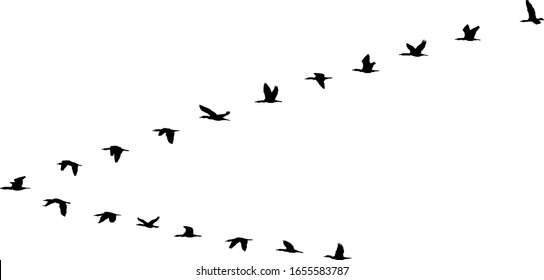 V Formation Of Birds - Vector Illustration