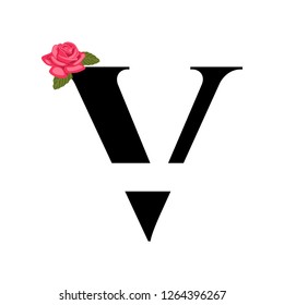 V icon logo
