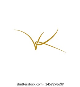 V K letter script logo design