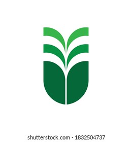 V letter with leaf growth plant logo design vector