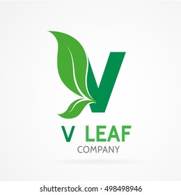 V letter logo with green leaves.Vector design template elements for your eco application or corporate identity.