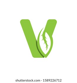 V Letter logo leaf concept template design