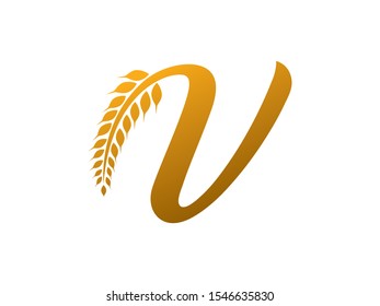 V Letter logo or symbol template design
