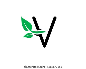 V Letter logo or symbol template design