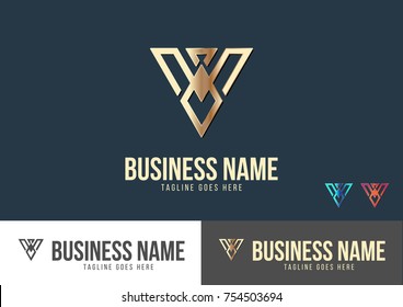 V Letter Logo Template Design Vector