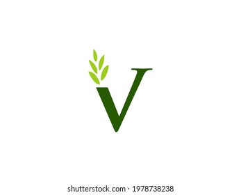 V logo letter, illustration V eco logo concept. abstract initial V logo vector 
