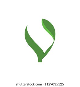 V logo letter with leaf design