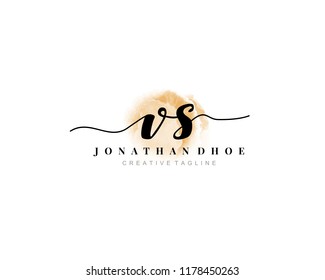 V S Initial watercolor logo on white background. Logo template vector