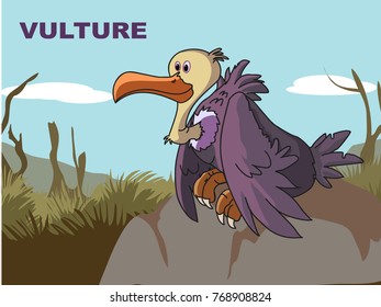 v for vulture 