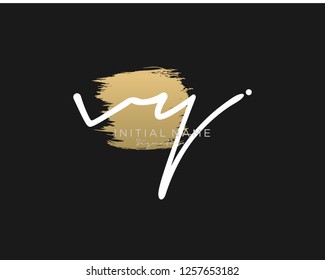 V Y Signature initial logo template vector