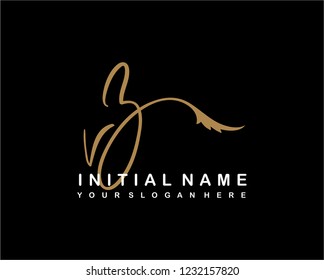 V Z Initial Handwriting Logo Template