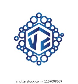 V Z Initial letter hexagonal logo vector